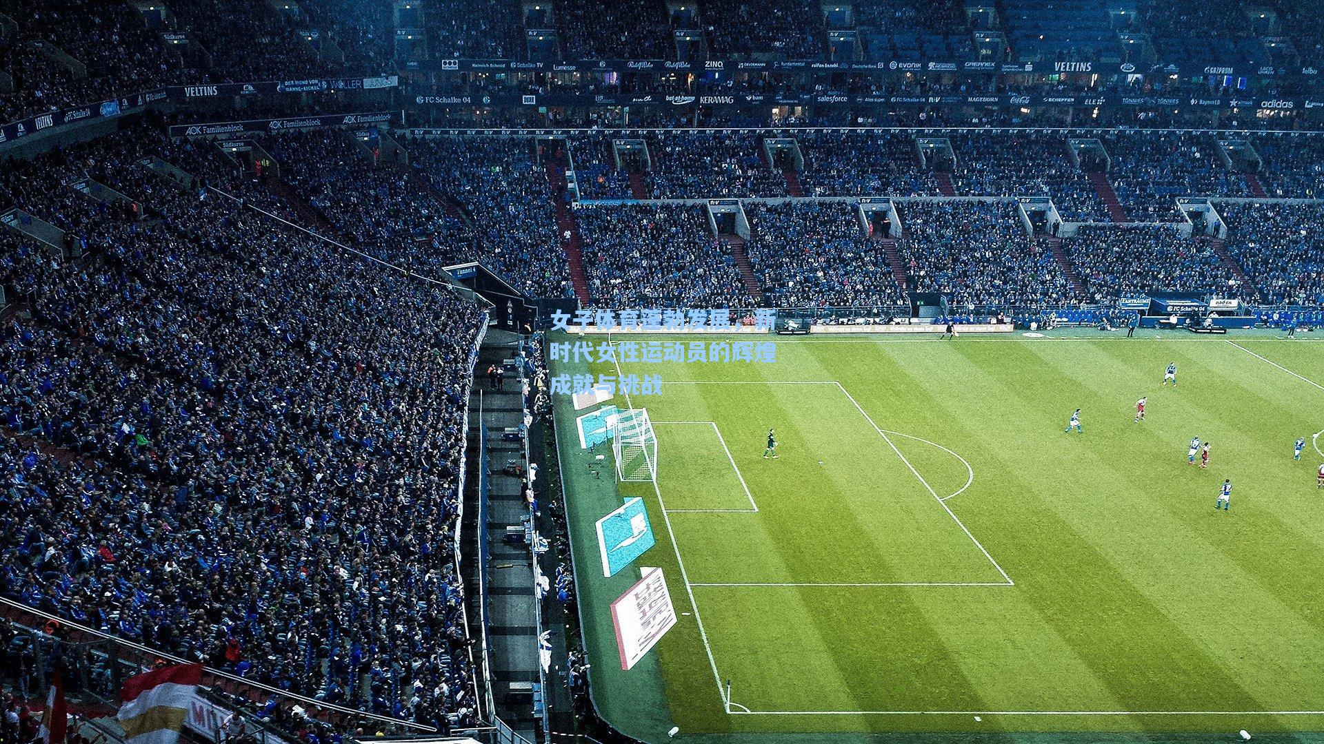 女子体育蓬勃发展，新时代女性运动员的辉煌成就与挑战