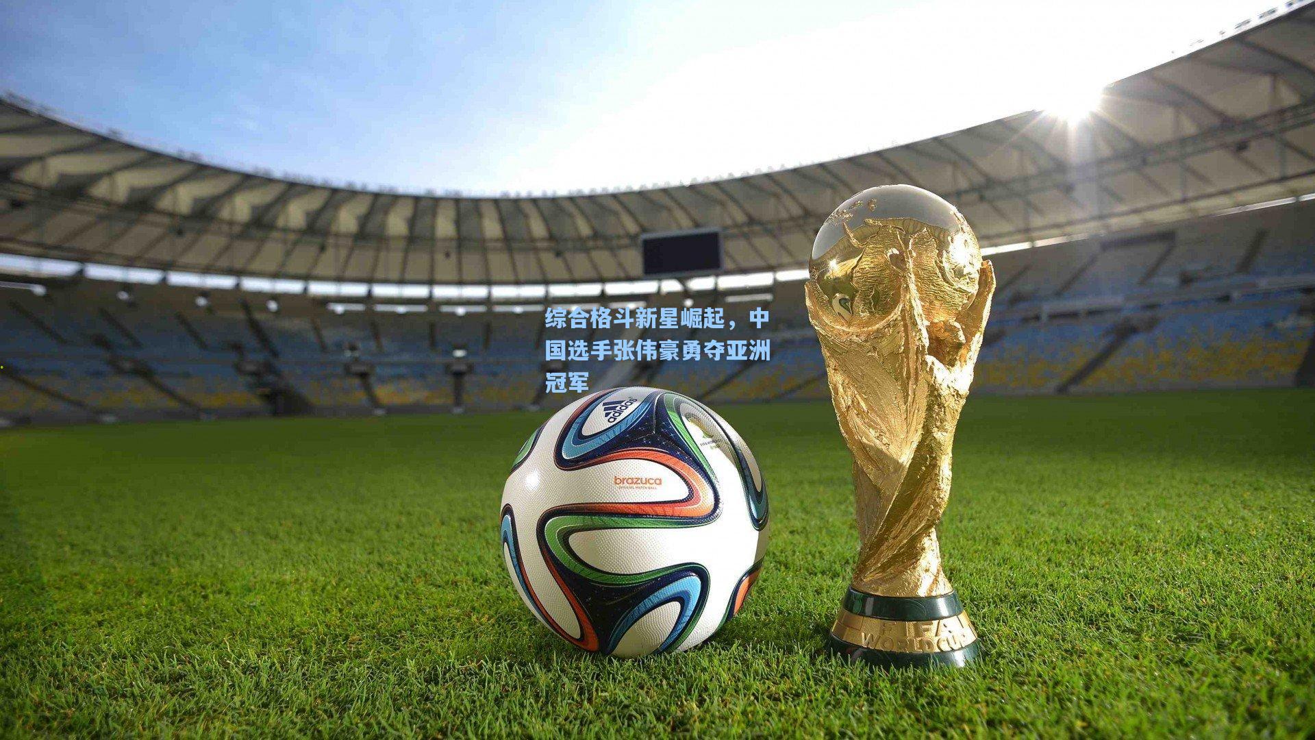 综合格斗新星崛起，中国选手张伟豪勇夺亚洲冠军